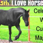 I Love Horses Day is on July 15th – Celebrate With Custom Magnets