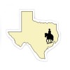 Custom Texas Shaped Magnets 20 Mil