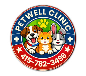 Customize Your Magnets Online