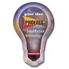 2.29x3.55 Custom Printed Light Bulb Shape Indoor Magnets 40 Mil