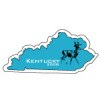 Custom Kentucky Shaped Magnets 20 Mil
