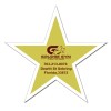 3.53x3.36 Custom Star Shaped Magnets 20 Mil
