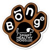 4x4 Custom Paw Shaped Magnets 20 Mil