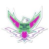 5x4 Custom Falcon Shaped Magnets 20 Mil