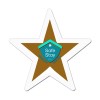 5x5 Custom Star Shaped Magnets 20 Mil