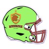 6.92x5.93 Custom Helmet Shaped Magnets 20 Mil