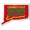 3.5x2.34 Custom Connecticut Shaped Magnets 20 Mil