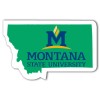 3.39x2.14 Custom Montana Shaped Magnets 20 Mil