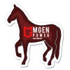 3.12x3.5 Custom Printed Horse Shaped Magnets 20 Mil