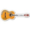 5x2 Custom Acoustic Guitar Shaped Magnets 20 Mil