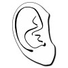 2.875x4.25 Custom Ear Shaped Magnets 20 Mil