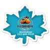 2.875x3.25 Custom Leaf Shaped Magnets 20 Mil
