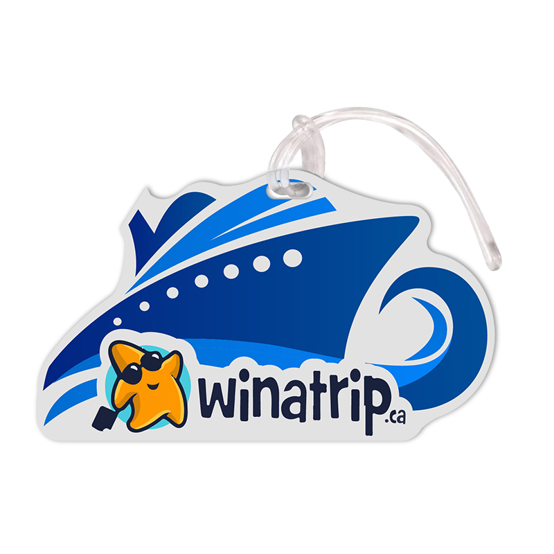 2.5x4.25 Custom Printed Ship Shaped Full Color One Sided Luggage Tags - 50 Mil